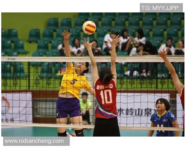 广州排球队引领最新排球节奏榜单前十强精彩瞬间回顾